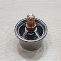 TERMOSTAT DAF 83C 1303061