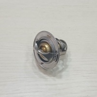 TERMOSTAT VOLVO SD75B 17248667
