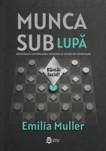 Munca sub lupă