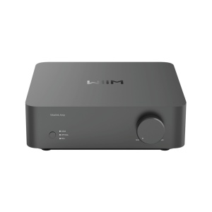 Wiim Vibelink Space Gray
