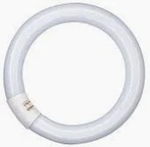 TUB NEON CIRCULAR PHILIPS T9