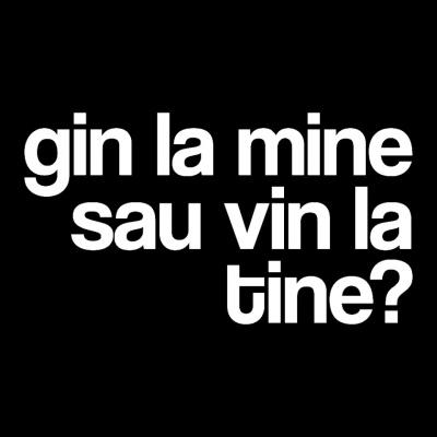 tricou unisex negru "gin la mine" - Img 2
