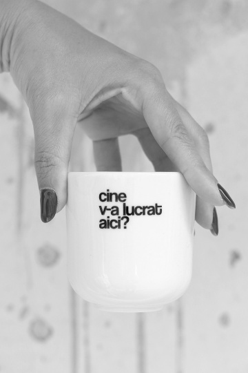 cana mica "cine v-a lucrat aici?" - Img 2