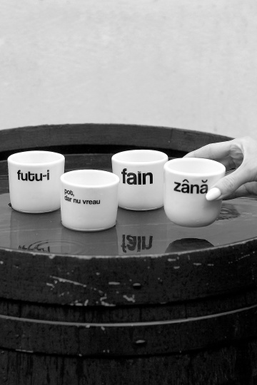 cana mica "cine v-a lucrat aici?" - Img 4