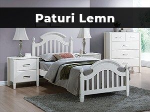 Paturi Lemn