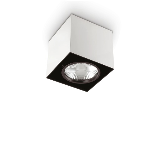 SPOT MOOD PL1 D15 SQUARE, ALB, DIN METAL, STIL MODERN
