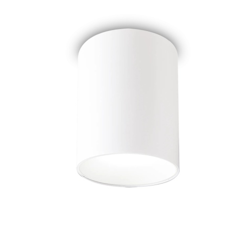 SPOT NITRO PL ROUND D10, ALB, DIN ALUMINIU, STIL MODERN