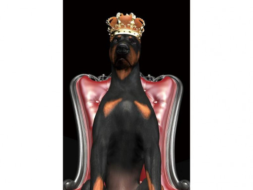 TABLOU DECORATIV DOG IN CROWN, 120 CM, DIN STICLA SECURIZATA, STIL MODERN