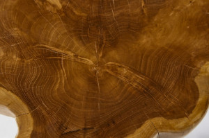MASUTA DE CAFEA 40CM, ROOT, DIN LEMN MASIV DE TEC, DESIGN RUSTIC - Img 4