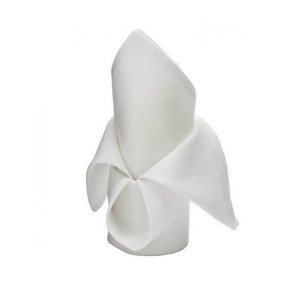 NAPRON PENTRU CATERING 50X50 ALB MAT