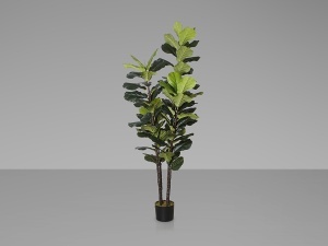 PLANTA ARTIFICIALA, FICUS 250CM, DIN PVC, SCHULLER - Img 4