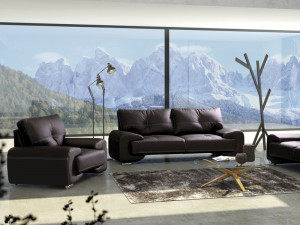 SET MOBILIER OMEGA LUX CANAPEA 3+ CANAPEA 2 + FOTOLIU DIVERSE NUANTE - Img 4