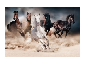TABLOU DECORATIV HORSES, 120 CM, DIN STICLA SECURIZATA, STIL MODERN