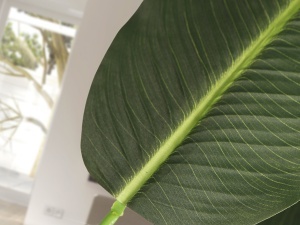 PLANTA ARTIFICIALA, PALMA 240CM, DIN PVC, SCHULLER - Img 3