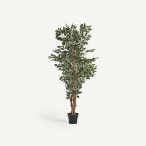 PLATA ORNAMENTALA, FICUS, 175CM, REF. 29109, CONFECTIONAT DIN POLIETILENA, VICAL , STIL MODERN