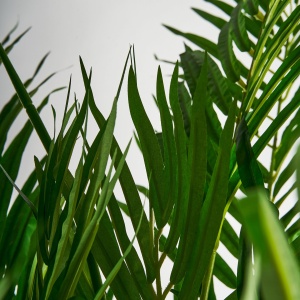 PLATA ORNAMENTALA, PALMERA 210CM, REF. 27318, CONFECTIONAT DIN POLIETILENA, VICAL , STIL MODERN - Img 2