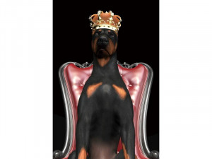 TABLOU DECORATIV DOG IN CROWN, 120 CM, DIN STICLA SECURIZATA, STIL MODERN