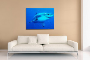 TABLOU DECORATIV SHARK 37414
