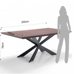 MASA ELEGANTA 200CM,SFAT, COD 3096, STIL MODERN, REALIZATA DIN METAL SI MDF - Img 3