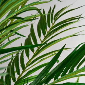 PLATA ORNAMENTALA, PALMERA 210CM, REF. 27318, CONFECTIONAT DIN POLIETILENA, VICAL , STIL MODERN - Img 3