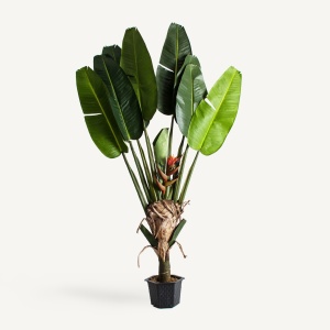 PLATA ORNAMENTALA, PARADISE 190CM, REF. 27322, CONFECTIONAT DIN POLIETILENA, VICAL , STIL MODERN - Img 2
