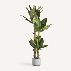 PLATA ORNAMENTALA, PLATANERO 245CM, REF. 27323, CONFECTIONAT DIN POLIETILENA, VICAL , STIL MODERN