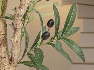 PLANTA ARTIFICIALA, MASLIN 180CM, DIN PVC, SCHULLER - Img 3