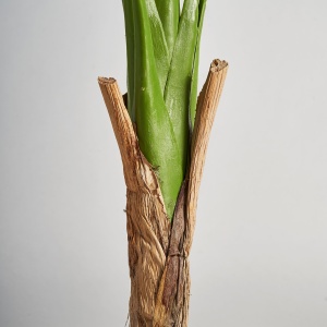 PLATA ORNAMENTALA, MONSTERA 128CM, REF. 29113, CONFECTIONAT DIN POLIETILENA, VICAL , STIL MODERN - Img 3