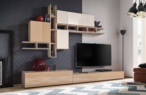 SET MODULAR LIVING NAPOLI 29 DWCM NP STIL MODERN ASM