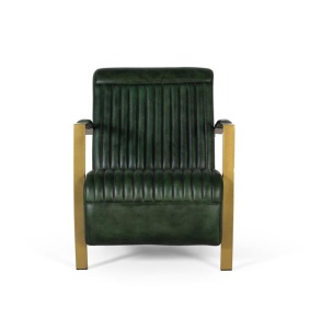 FOTOLIU, 1748, DIN PIELE VERDE INTENS SI METAL, ARTIM GROUP SELECTION - Img 2