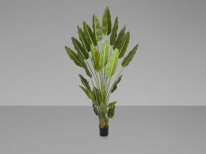 PLANTA ARTIFICIALA, AVE PARAISO 250CM, DIN PVC, SCHULLER - Img 4