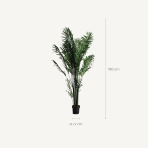 PLATA ORNAMENTALA, PALMERA 210CM, REF. 27318, CONFECTIONAT DIN POLIETILENA, VICAL , STIL MODERN - Img 4