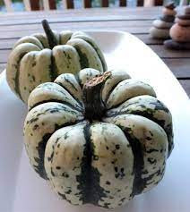 SEMINTE DOVLECEL - D 190 SWEET DUMPLING SQUASH - Img 3