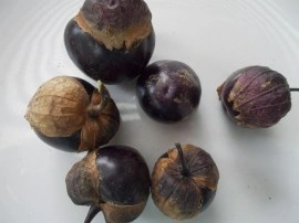 SEMINTE - D. 77 TOMATILLO VIOLET - PURPLE DE MILPA - Img 2