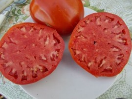 SEMINTE ROSII INIMA DE BOU - T. 36 BOSNISCHE FLEISCHTOMATE