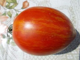 SEMINTE ROSII - T. 183 KEILFORMIGE RIESENTOMATE ROT