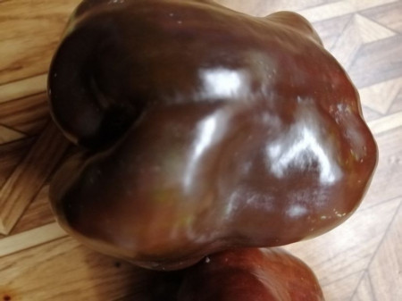 SEMINTE ARDEI - A 73 CHOCOLATE EMERALD GIANT - Img 2
