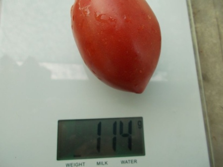 SEMINTE ROSII - T 1059 RASPBERRY TOMATO PEPPER - Img 2