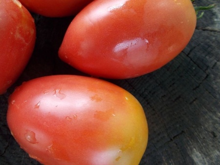 SEMINTE ROSII - T 1059 RASPBERRY TOMATO PEPPER - Img 3