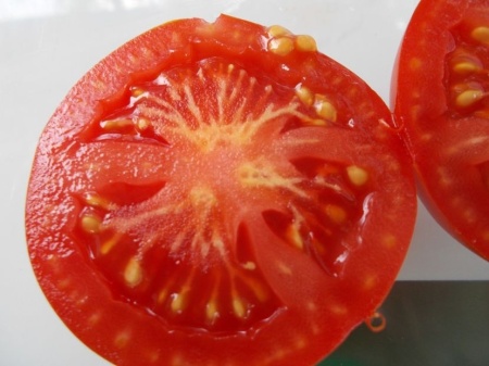 SEMINTE ROSII - T 1102 DELIGHTFUL TOMATO - Img 4