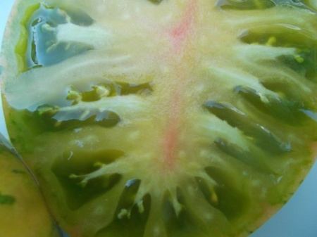 SEMINTE ROSII - T 1117 GREEN ZEBRA PINEAPPLE - Img 6