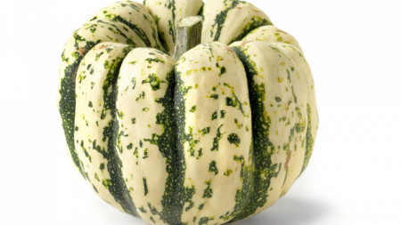 SEMINTE DOVLECEL - D 190 SWEET DUMPLING SQUASH - Img 6
