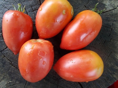 SEMINTE ROSII - T 1059 RASPBERRY TOMATO PEPPER - Img 4