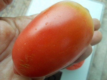 SEMINTE ROSII - T 1059 RASPBERRY TOMATO PEPPER - Img 5