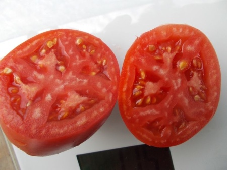 SEMINTE ROSII - T 1059 RASPBERRY TOMATO PEPPER - Img 6