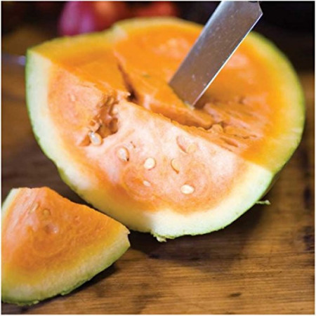 SEMINTE PEPENE VERDE - D 137 ORANGEGLO