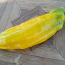 SEMINTE ARDEI - A 29 THE SWEET YELLOW - Img 2