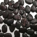 SEMINTE FASOLE LIMA - D 229 BLACK STAR