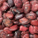 SEMINTE FASOLE LIMA - RED CALICO - D 223
