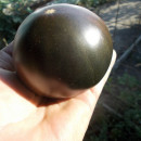 SEMINTE ROSII NEGRE - T 829 AMETIST HEART - Img 6